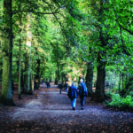People walking on a path between the trees in Hampstead Heath at dusk, London, UK.